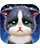 Player Icon